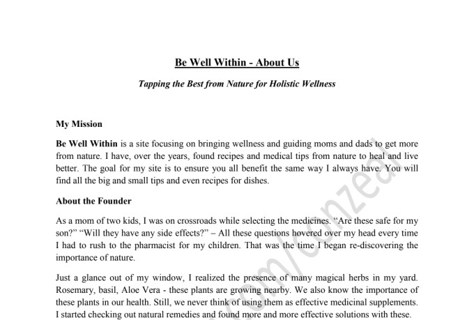 be your engaging and unique website content writer